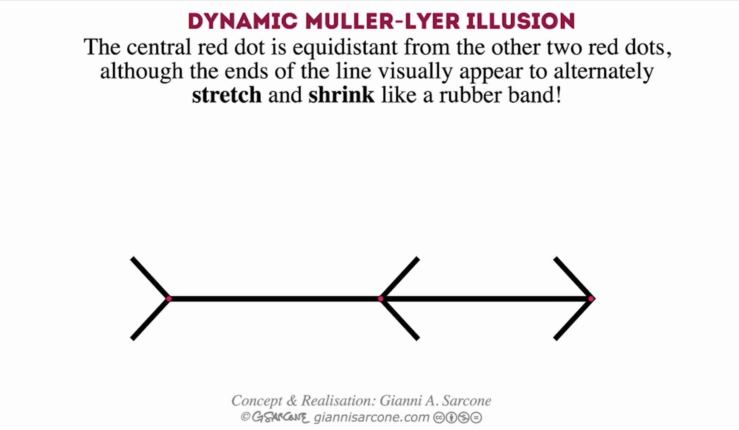 Best Illusion of the Year Contest | Best Illusion of the Year Contest